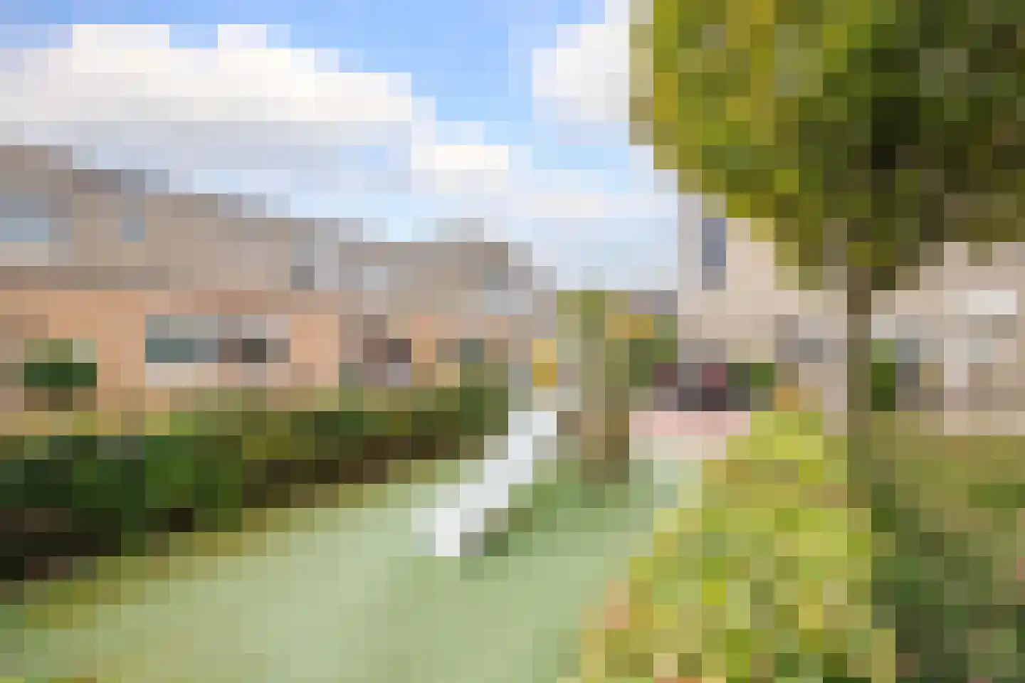 Dinkel 42 Nieuwerkerk aan den IJssel thumbnail 8