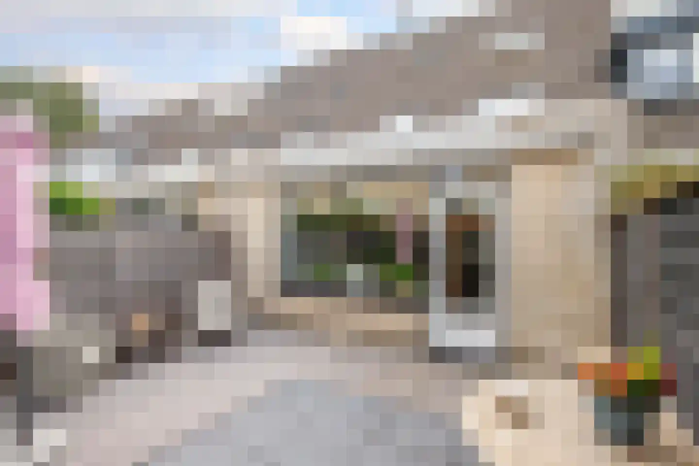 Dinkel 42 Nieuwerkerk aan den IJssel thumbnail 9