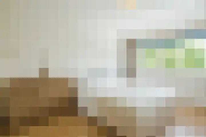 Dinkel 64 Heerhugowaard thumbnail 13