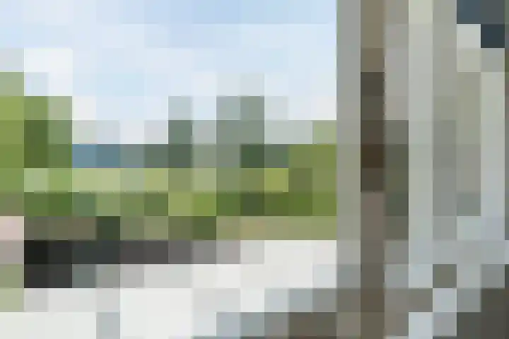 Dinkel 64 Heerhugowaard thumbnail 15
