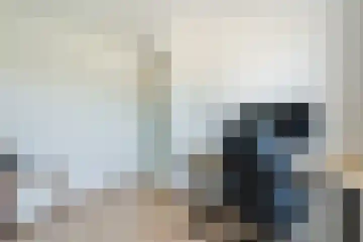Dinkel 64 Heerhugowaard thumbnail 17