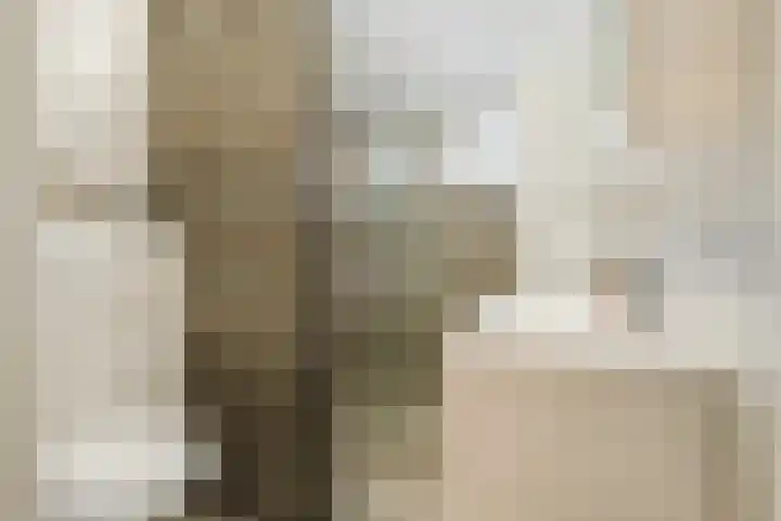 Dinkel 64 Heerhugowaard thumbnail 20
