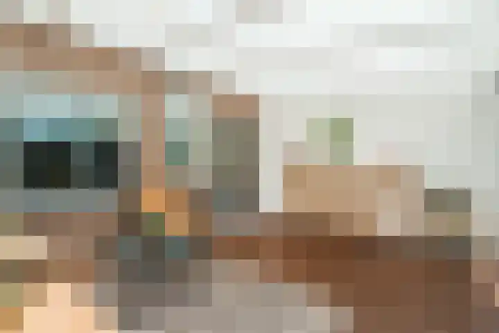 Dinkel 64 Heerhugowaard thumbnail 28