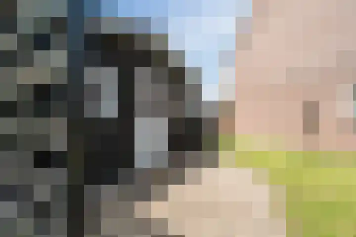 Dinkel 64 Heerhugowaard thumbnail 32