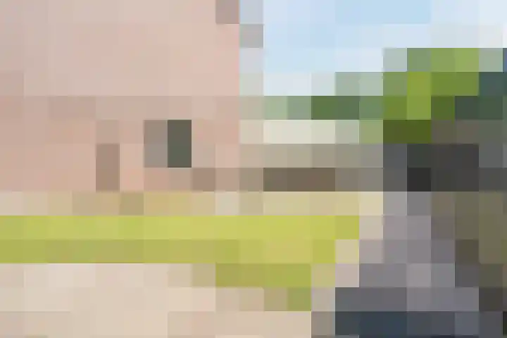 Dinkel 64 Heerhugowaard thumbnail 34