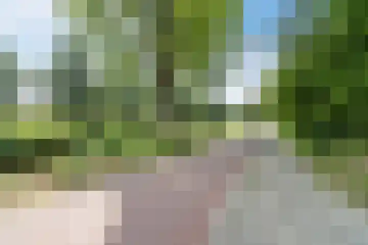 Dinkel 64 Heerhugowaard thumbnail 40