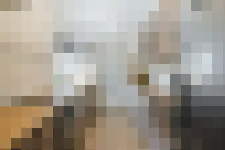 Dinkel 64 Heerhugowaard thumbnail 5
