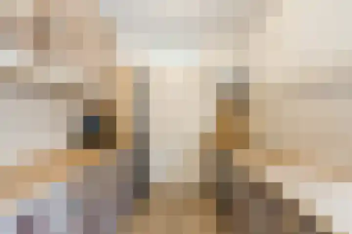 Dinkel 64 Heerhugowaard thumbnail 7