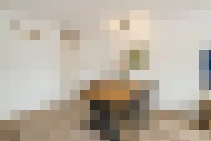 Dinkel 64 Heerhugowaard thumbnail 8