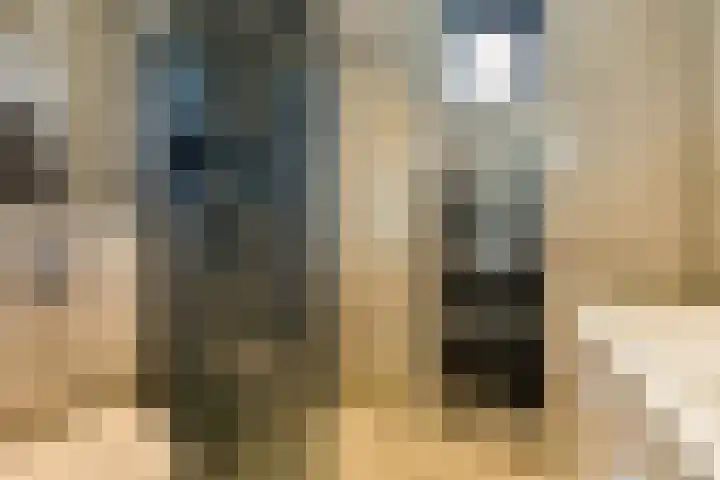 Dinkel 7 Huizen thumbnail 13