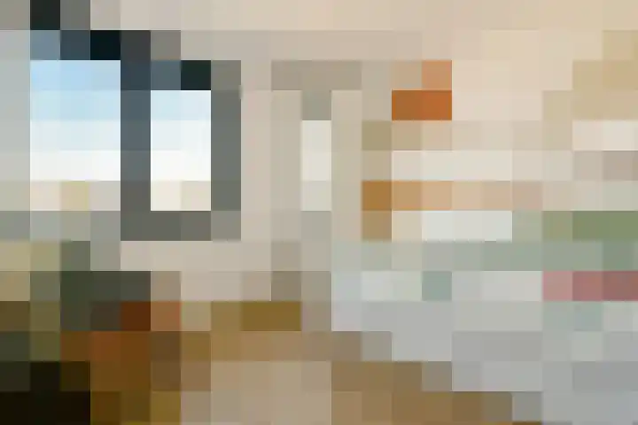 Dinkel 7 Huizen thumbnail 16