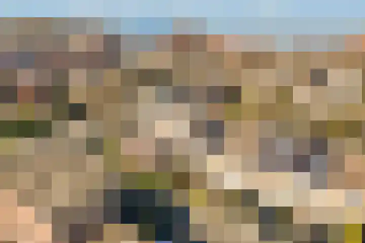 Dinkel 7 Huizen thumbnail 19