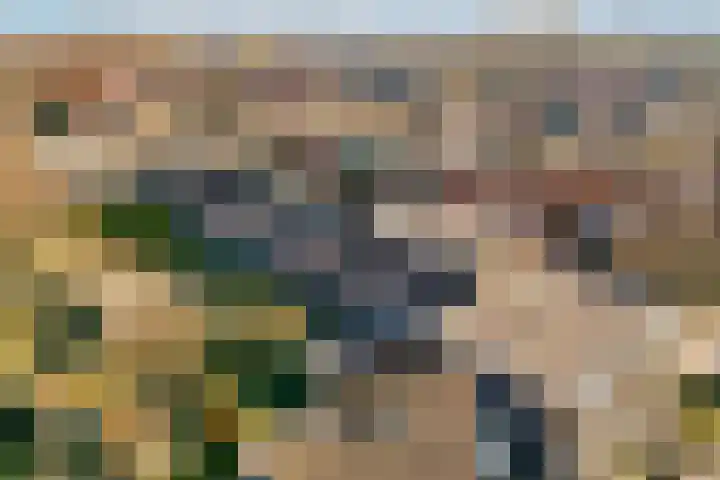 Dinkel 7 Huizen thumbnail 20