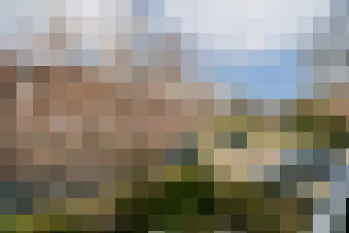 Dinkel 7 Huizen thumbnail 7