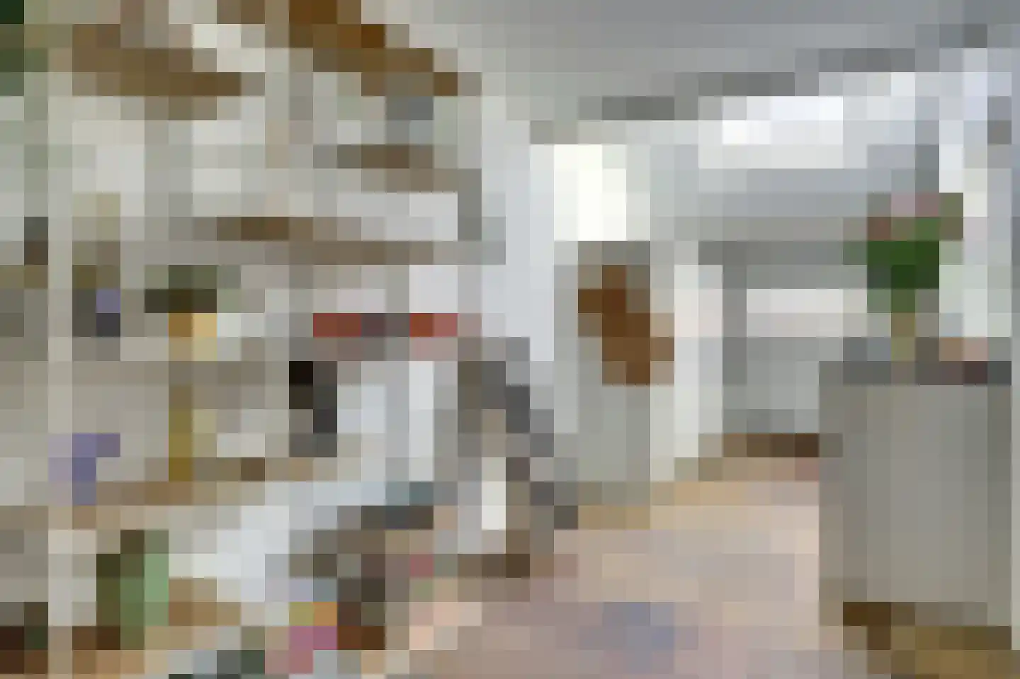 Dinkel 74 Heerhugowaard thumbnail 16