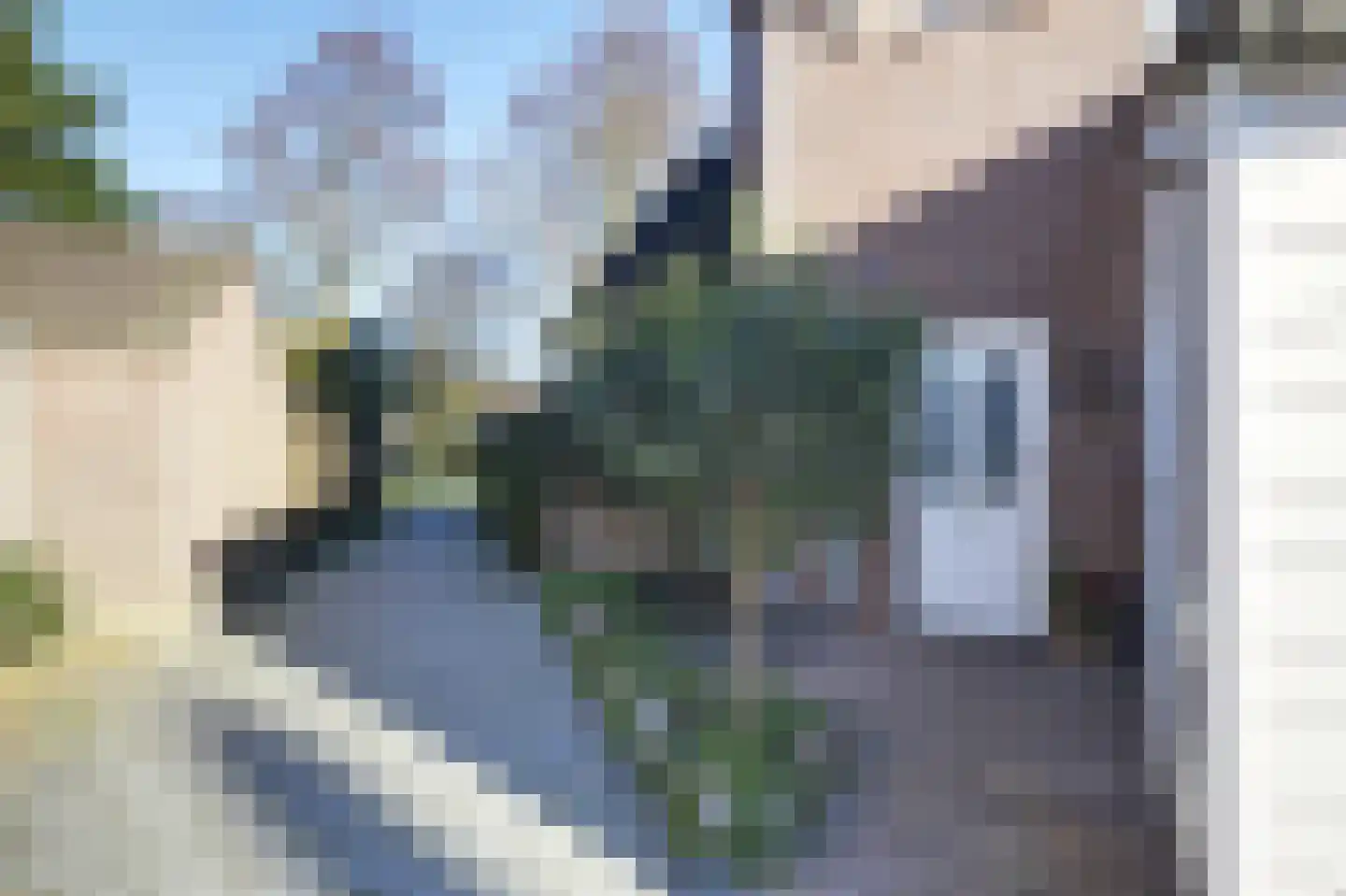 Dinkel 74 Heerhugowaard foto 3