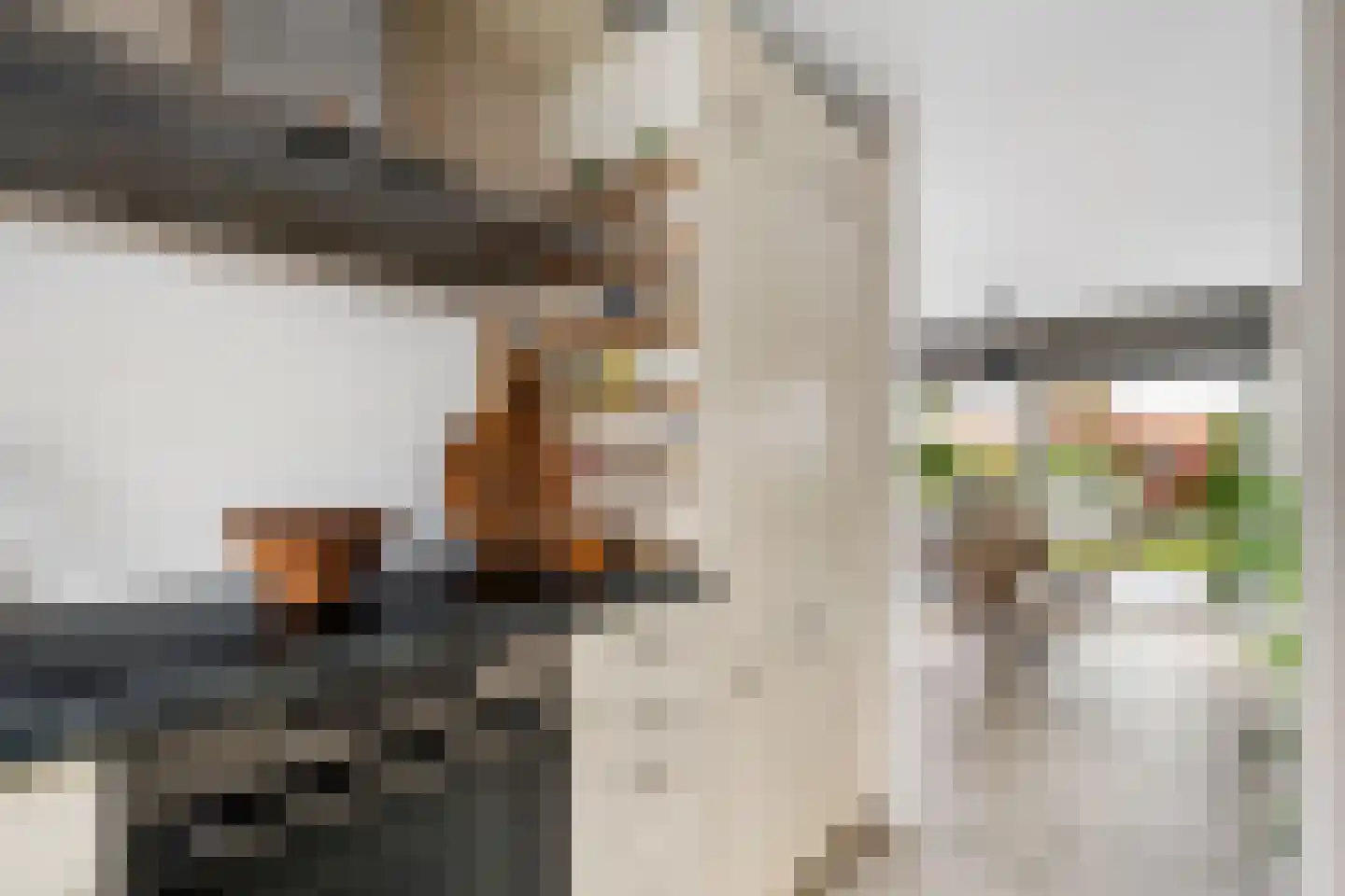 Dinkel 76 Nieuwerkerk aan den IJssel thumbnail 12