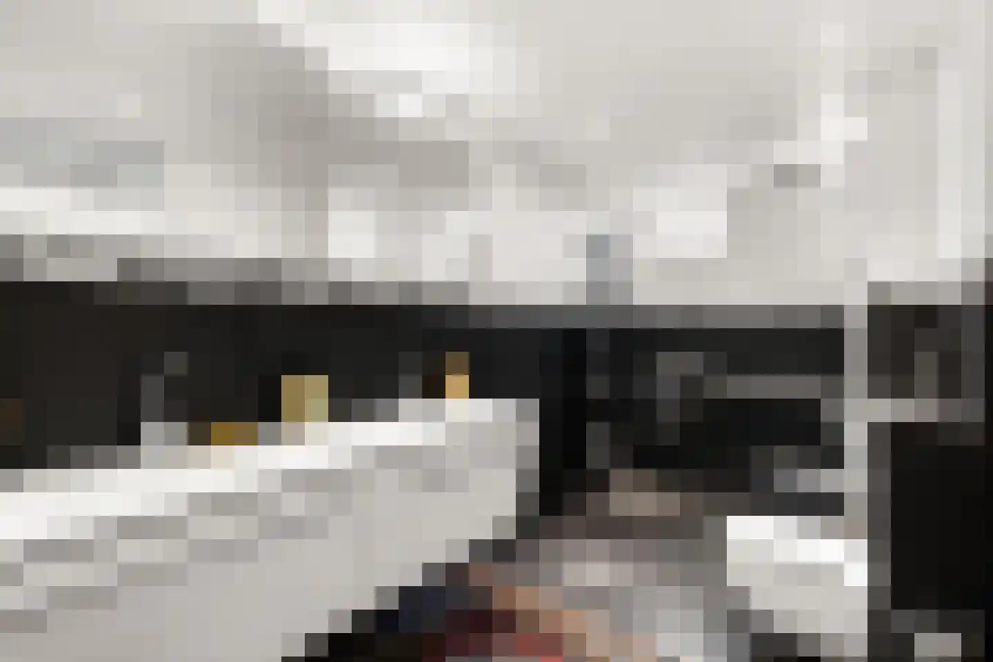 Dinkel 76 Nieuwerkerk aan den IJssel thumbnail 21