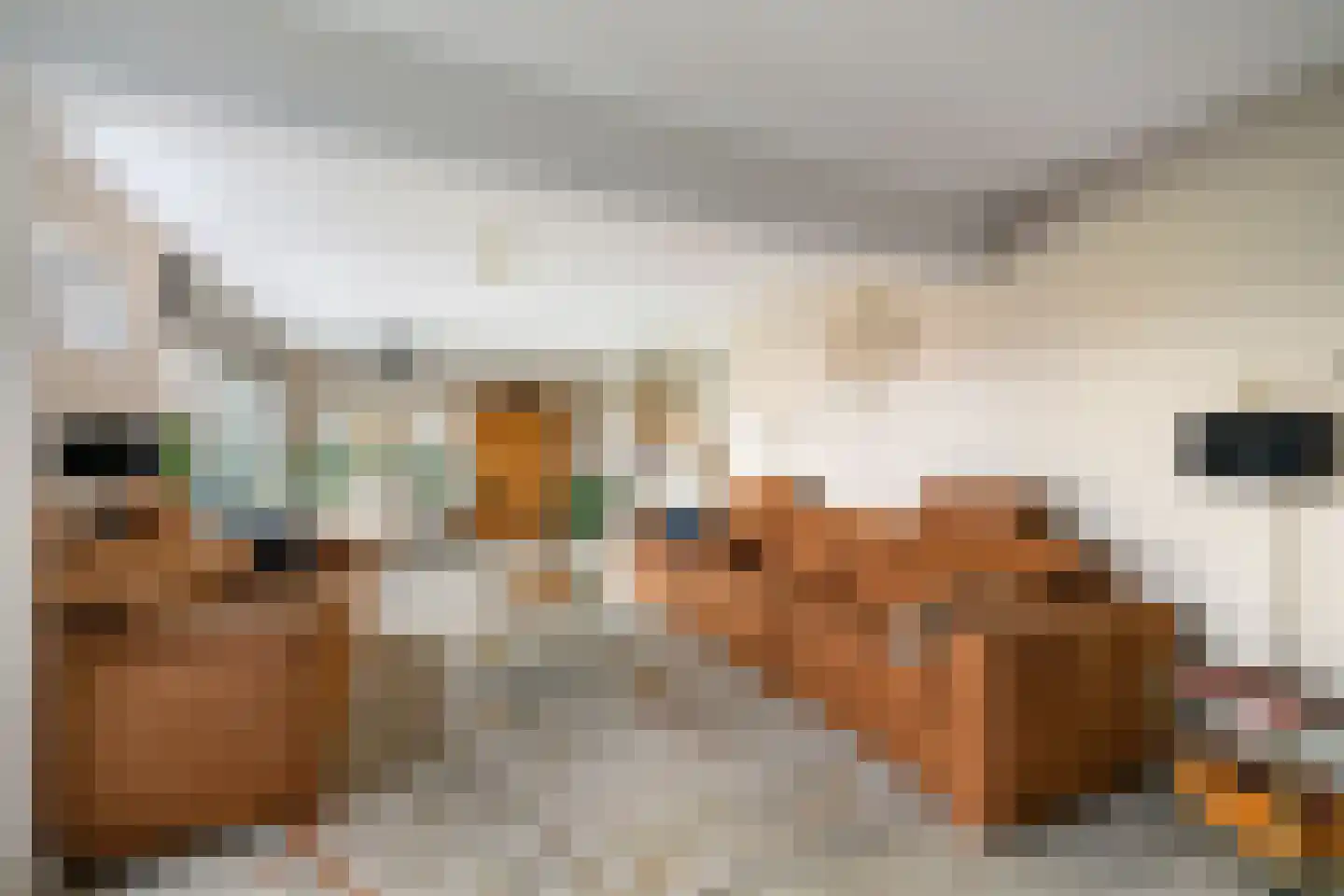 Dinkel 76 Nieuwerkerk aan den IJssel thumbnail 6