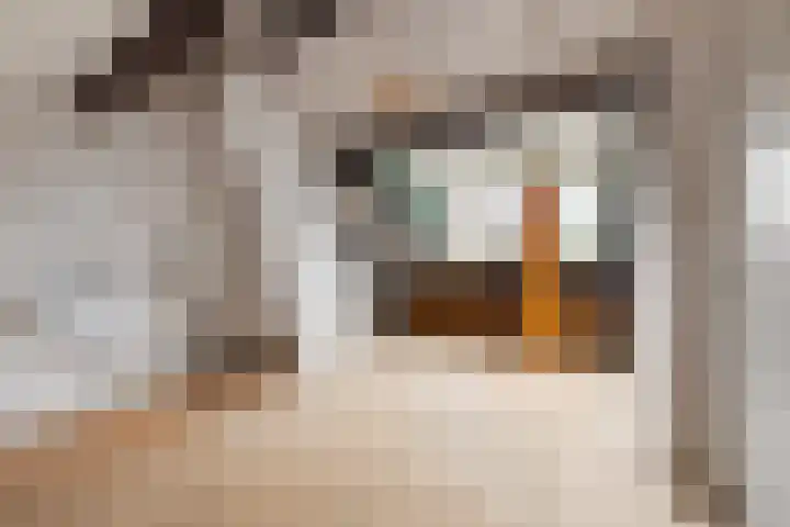 Dinkellaan 37 Heemstede thumbnail 18