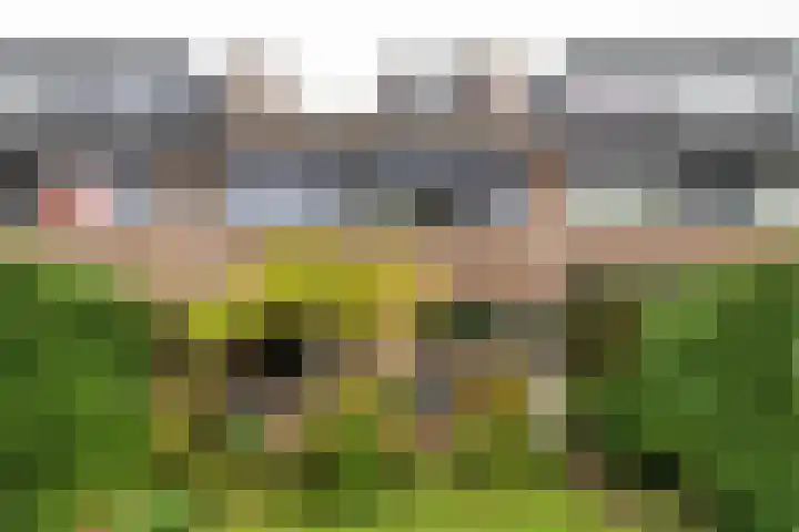 Dinkellaan 37 Heemstede thumbnail 19