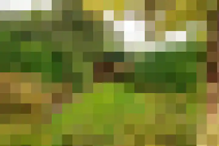Dinkellaan 37 Heemstede thumbnail 20
