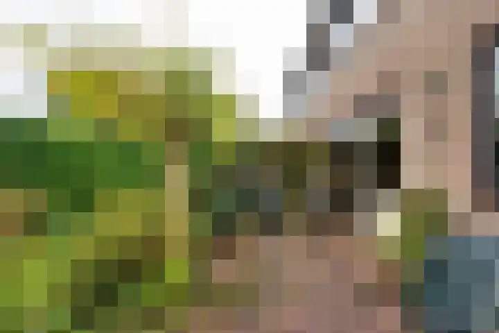 Dinkellaan 37 Heemstede thumbnail 21