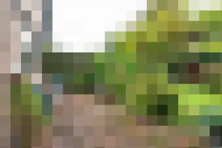 Dinkellaan 37 Heemstede thumbnail 22