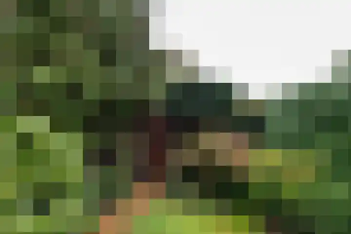 Dinkellaan 37 Heemstede thumbnail 23