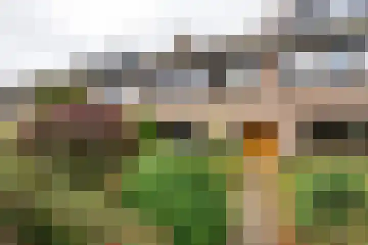 Dinkellaan 37 Heemstede thumbnail 24