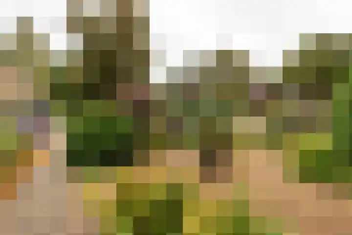Dinkellaan 37 Heemstede thumbnail 26