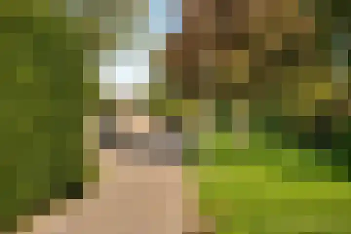 Dinkellaan 37 Heemstede thumbnail 27