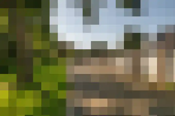 Dinkellaan 37 Heemstede thumbnail 28