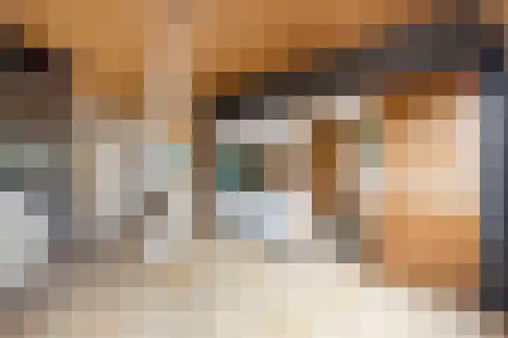 Dinkellaan 37 Heemstede thumbnail 7