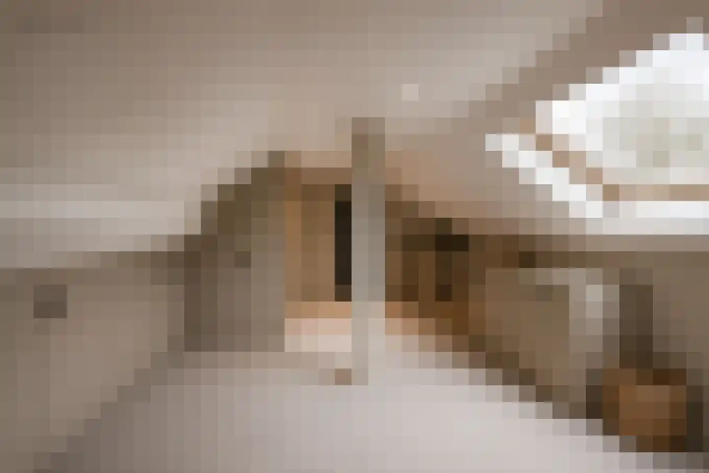 Dinkellaan 5 Heemstede thumbnail 28