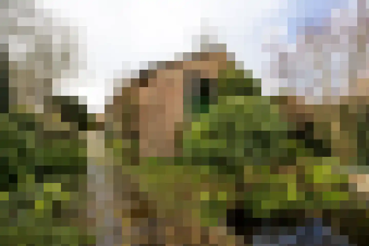 Dinkellaan 5 Heemstede thumbnail 36