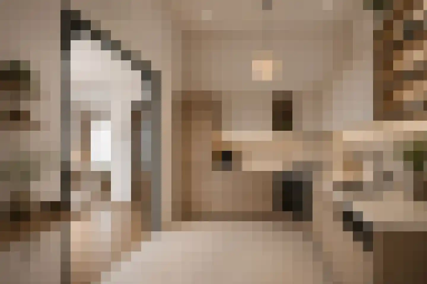 Dinkellaan 5 Heemstede thumbnail 6