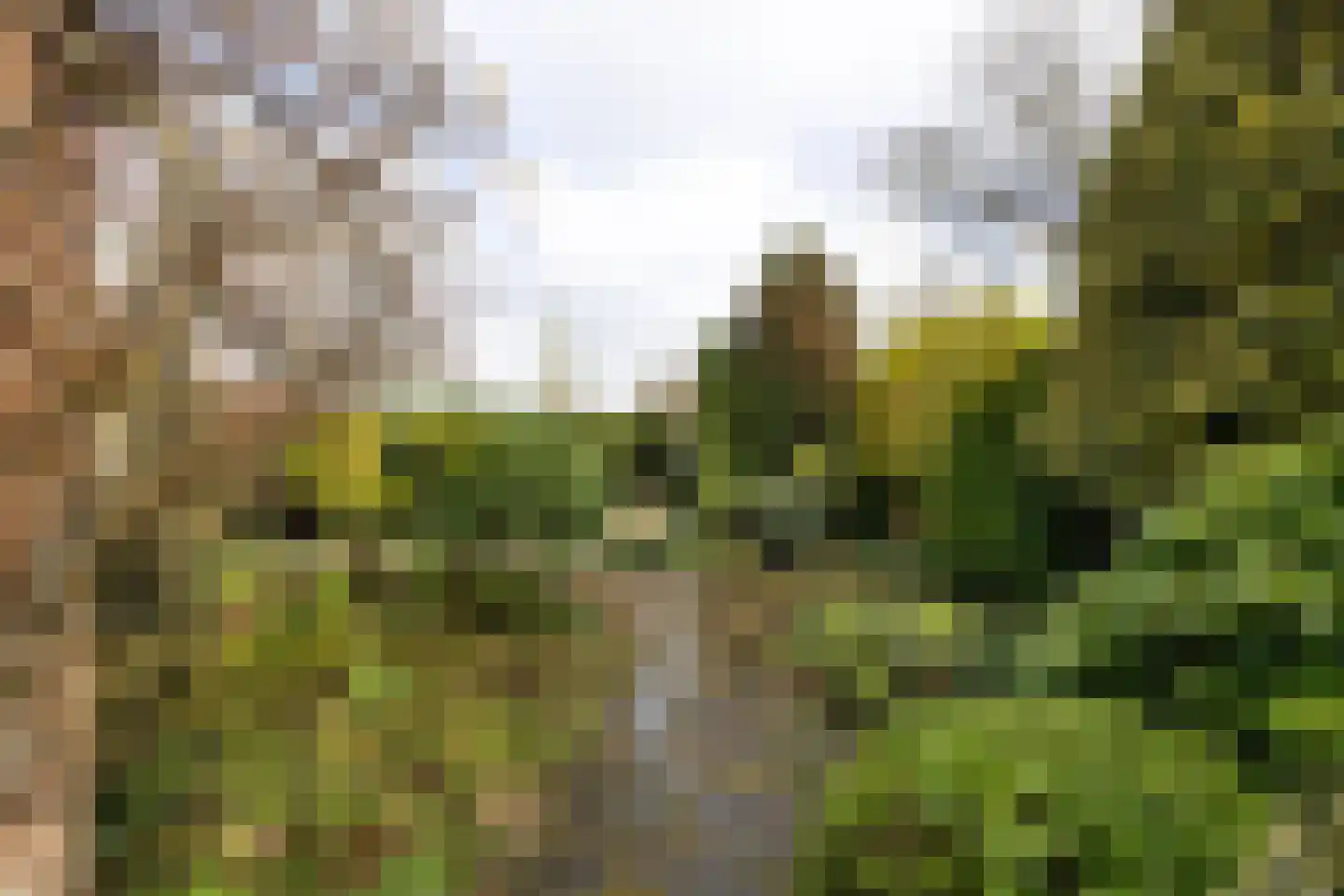 Dinkellaan 5 Heemstede thumbnail 7