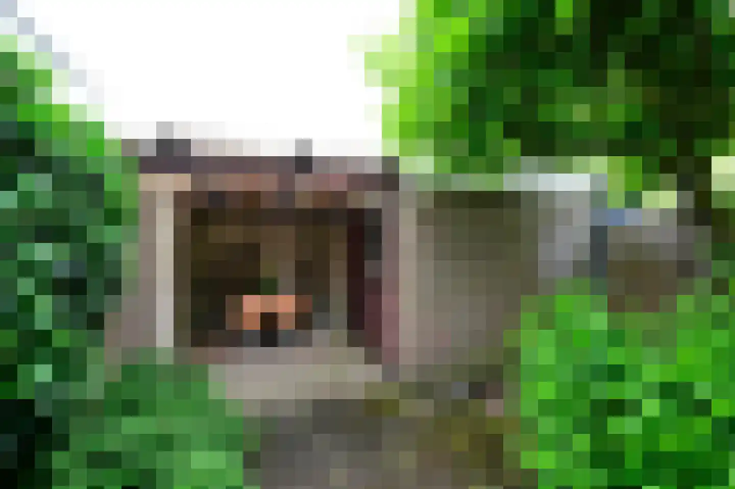 Dinkellaan 7 Heemstede thumbnail 25