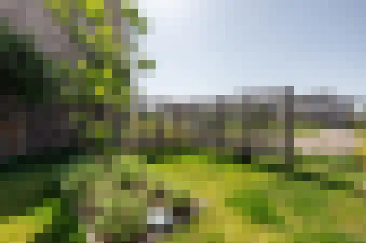 Dinkelstraat 10 Middelburg thumbnail 43