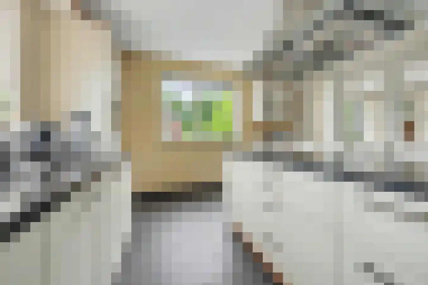 Dinkelstraat 10 Winterswijk thumbnail 23