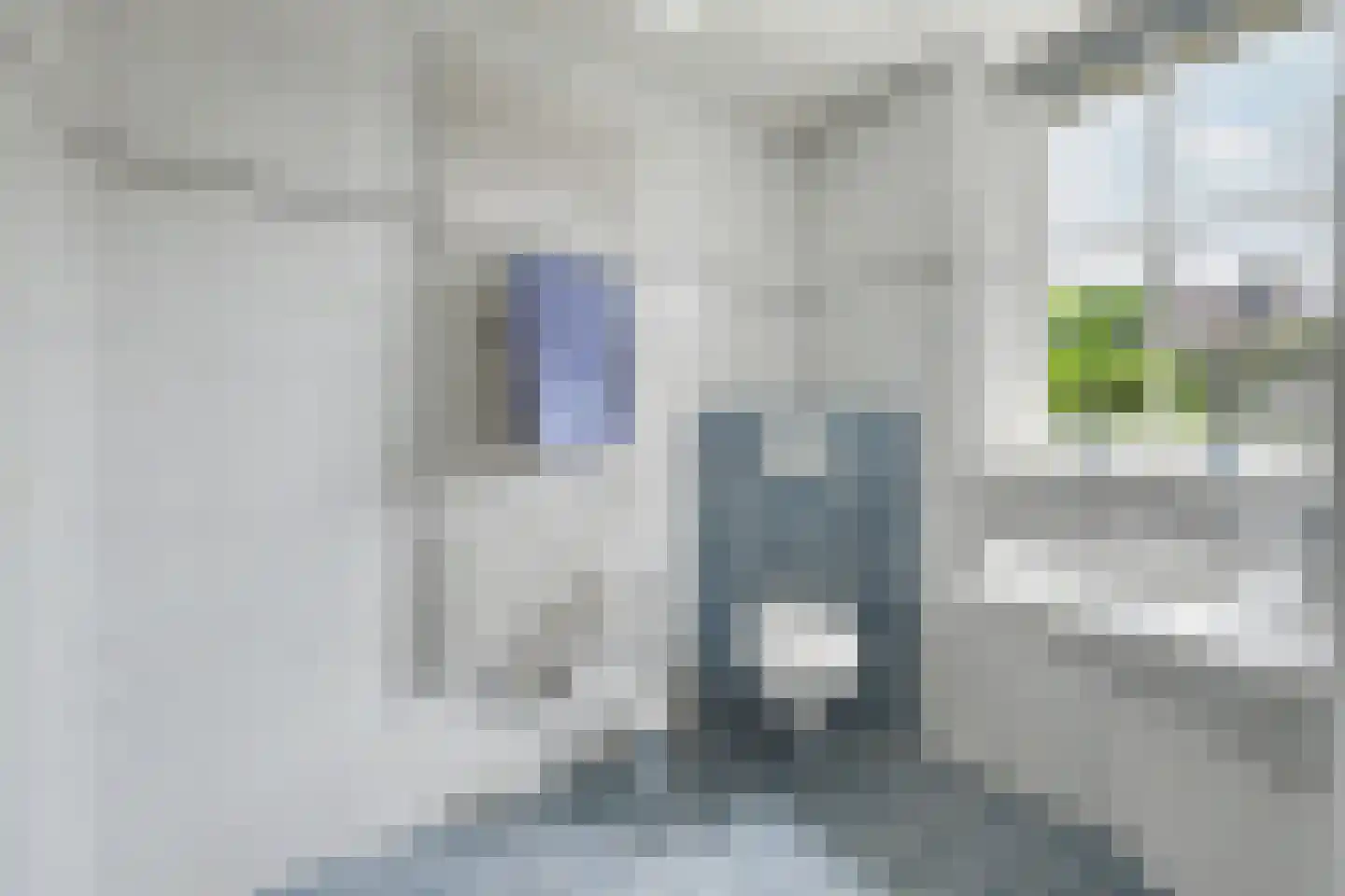 Dinkelstraat 10 Winterswijk thumbnail 31