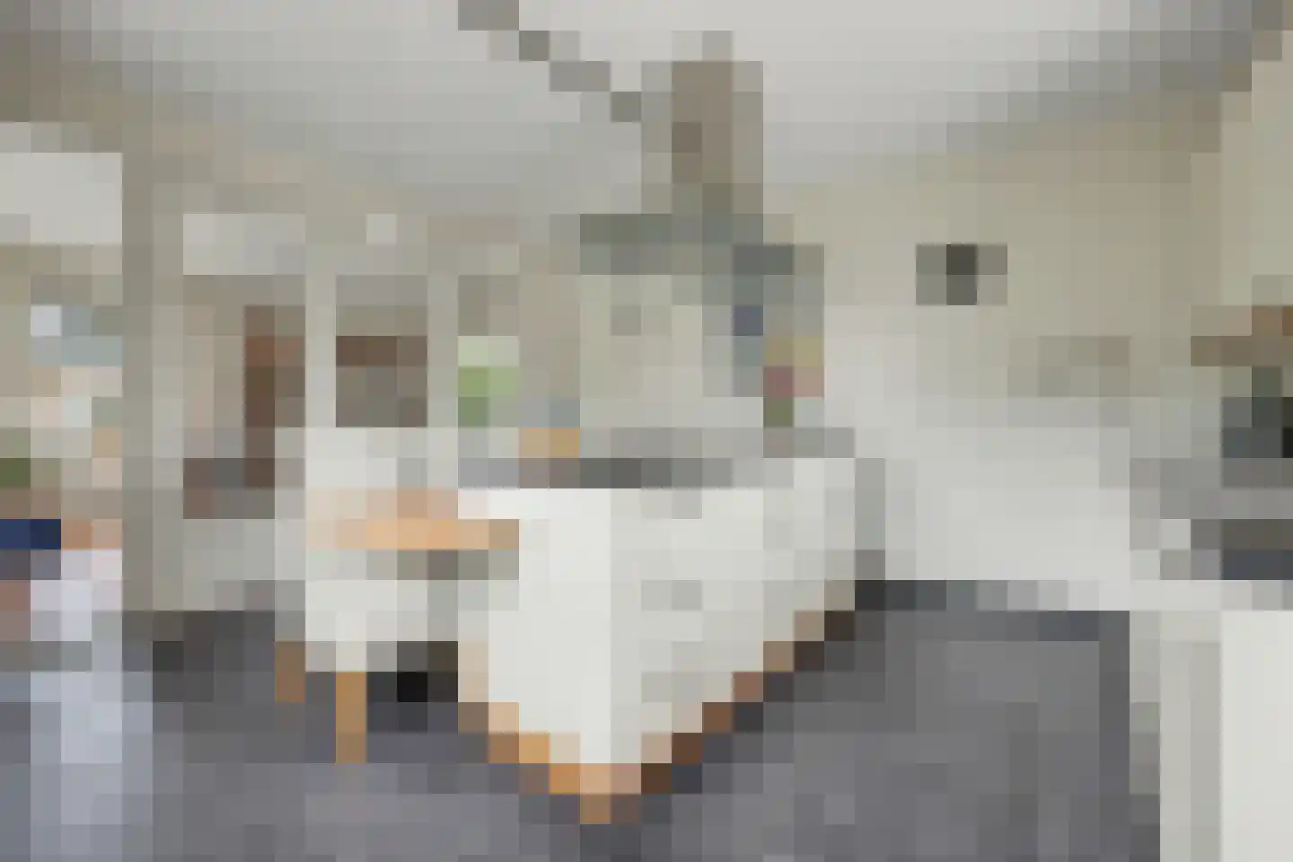 Dinkelstraat 10 Winterswijk thumbnail 4