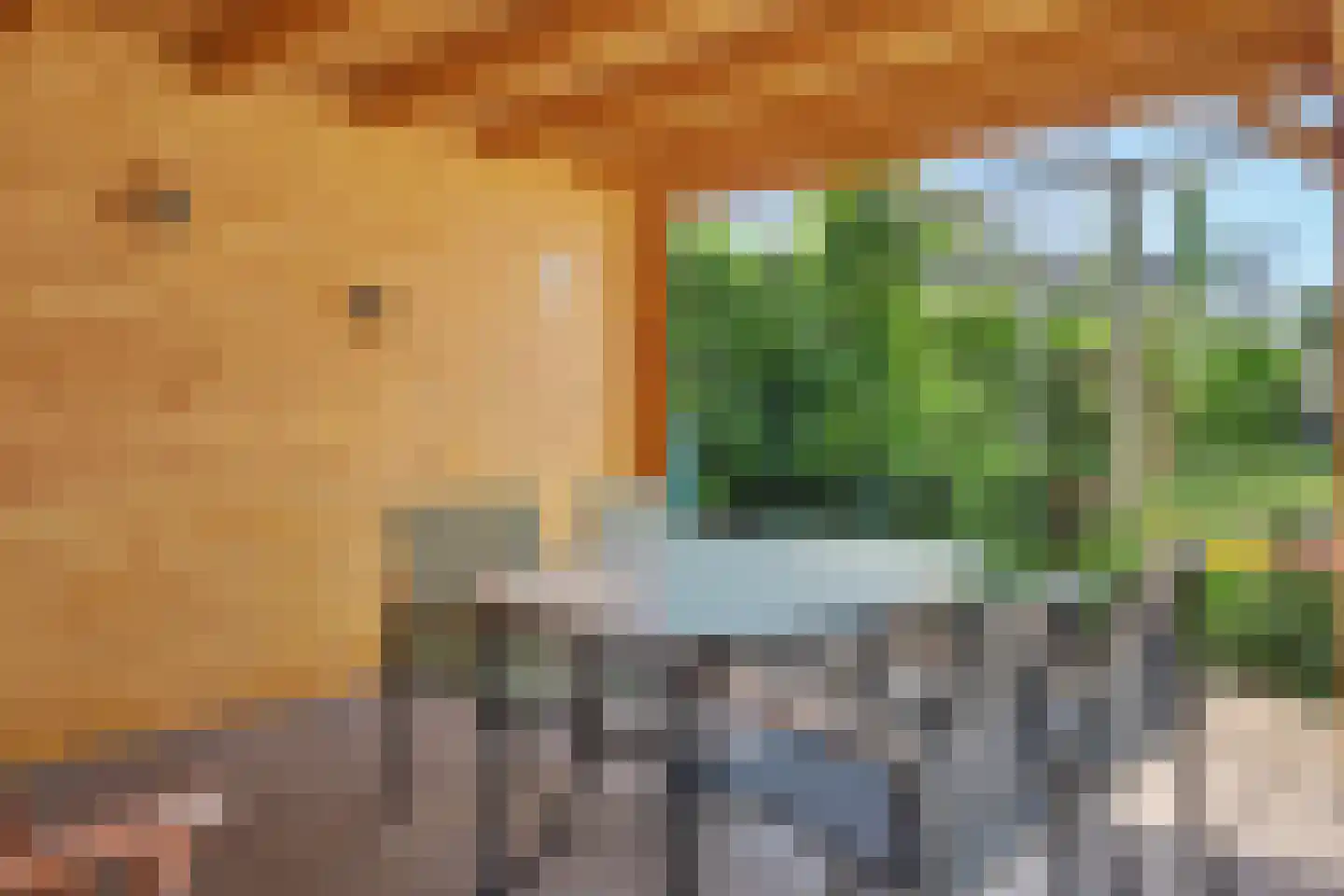 Dinkelstraat 10 Winterswijk thumbnail 48
