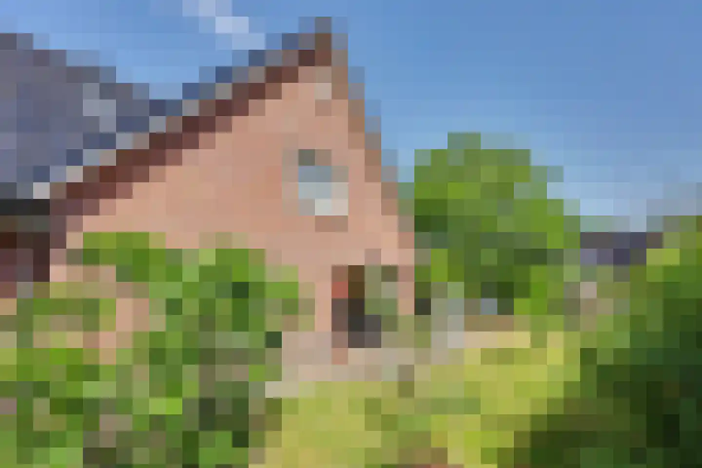 Dinkelstraat 10 Winterswijk thumbnail 52