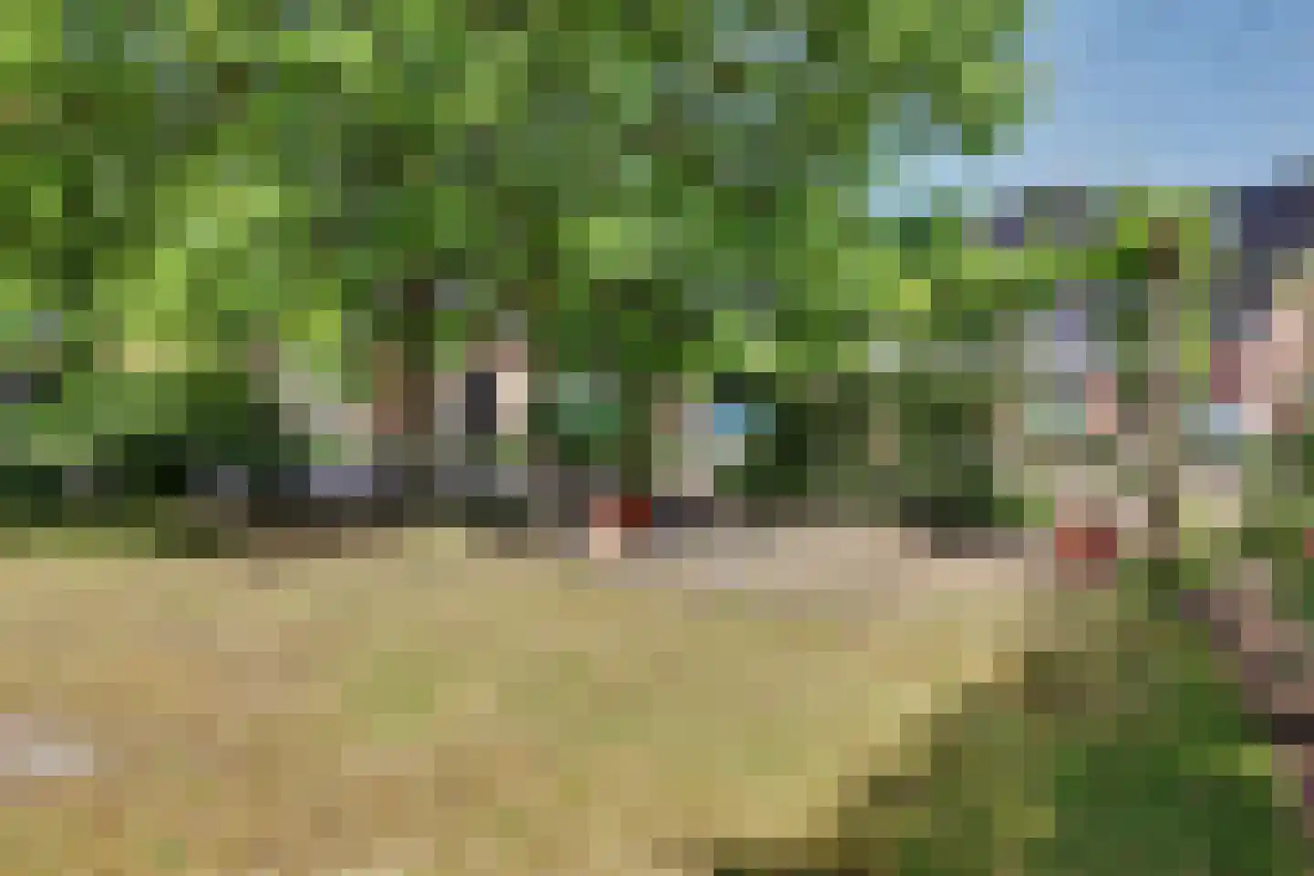 Dinkelstraat 10 Winterswijk thumbnail 54