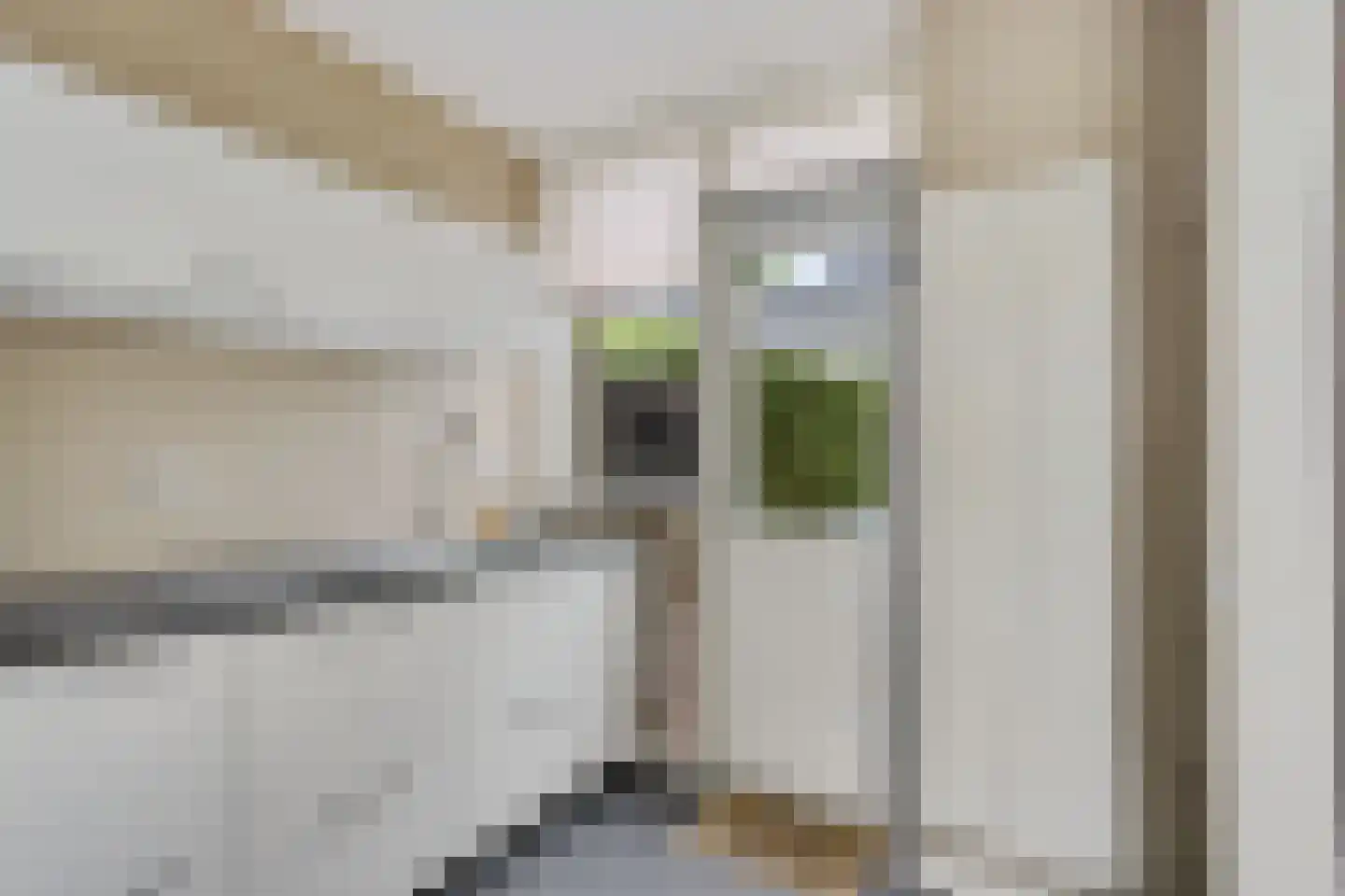 Dinkelstraat 13 Hengelo thumbnail 14