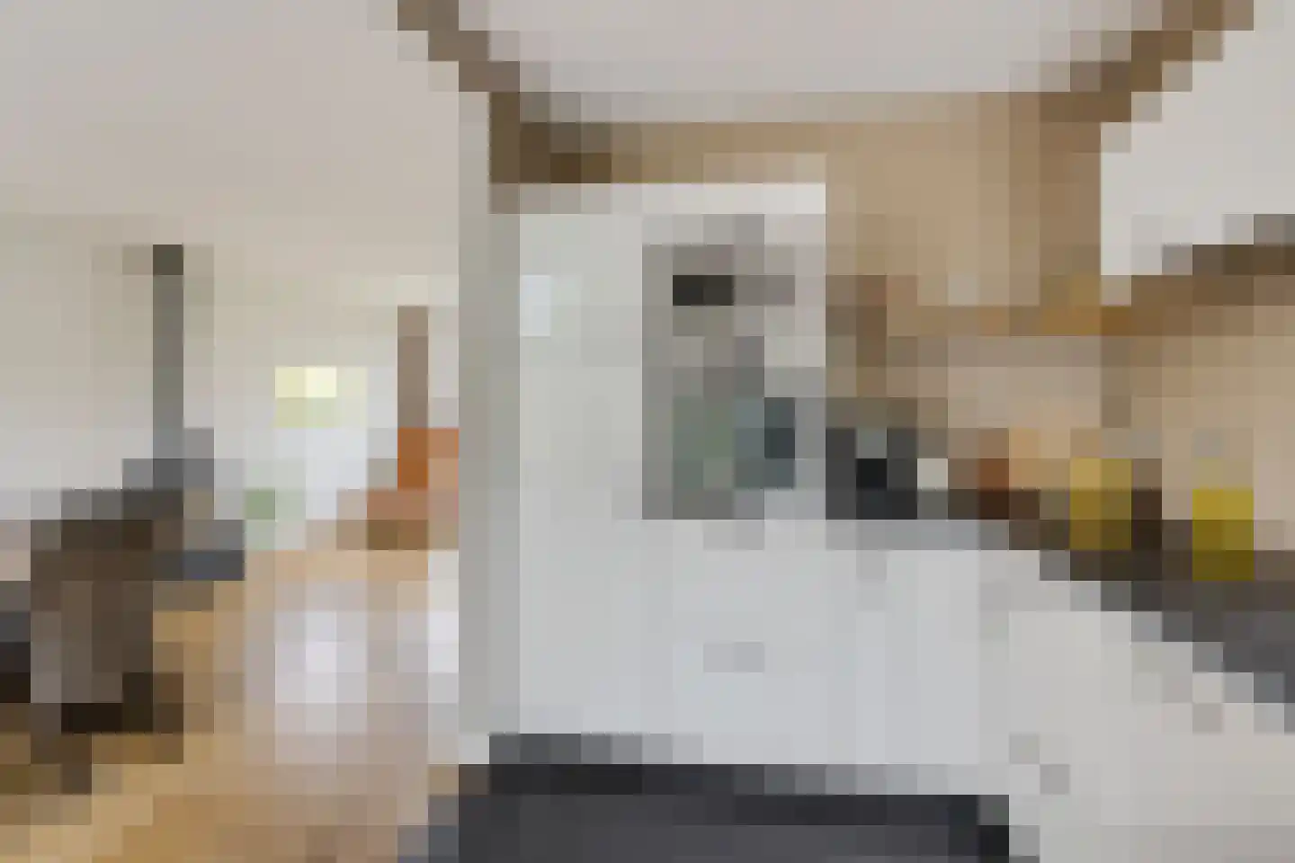Dinkelstraat 13 Hengelo thumbnail 16