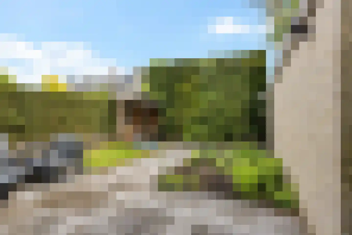 Dinkelstraat 13 Hengelo thumbnail 34