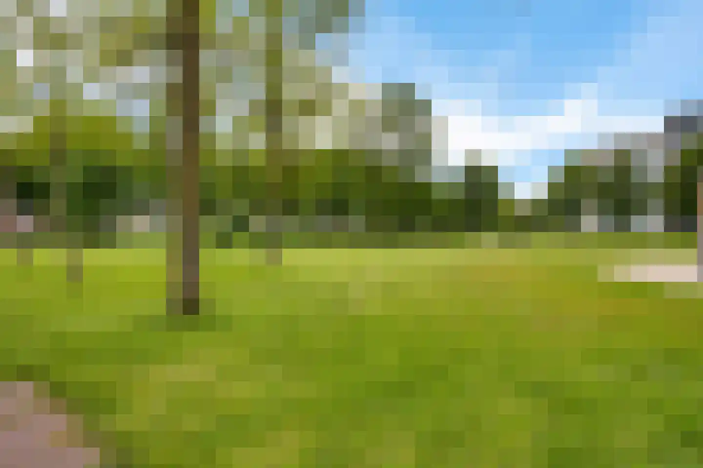Dinkelstraat 13 Hengelo thumbnail 36